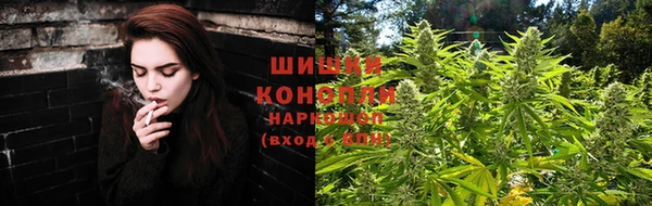 ПСИЛОЦИБИНОВЫЕ ГРИБЫ Верхний Тагил