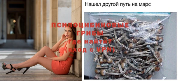 ПСИЛОЦИБИНОВЫЕ ГРИБЫ Верхний Тагил