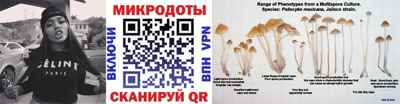 наркошоп  Магас  Галлюциногенные грибы Psilocybine cubensis 